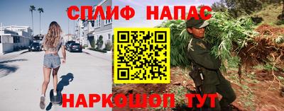 Альфа ПВП Аргун
