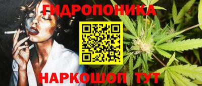 Альфа ПВП Аргун